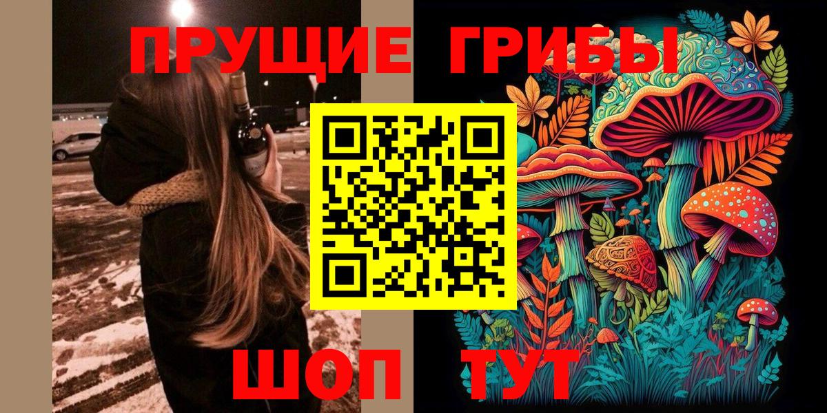 Галлюциногенные грибы Psilocybine cubensis Усинск
